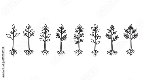 Set of hand-drawn seedling trees with roots botanical sketch nature elements silhouette