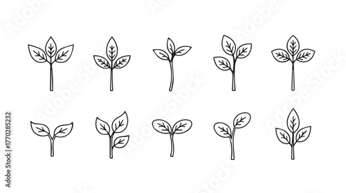 Hand drawn seedling sprouts collection simple sketch elements growing plant icons silhouette