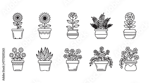 Collection of outline drawings of various potted houseplants and flowers silhouette
