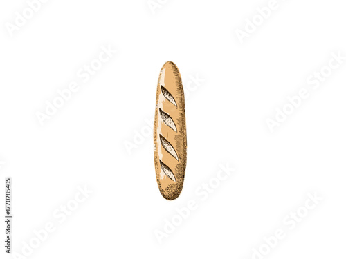 Baguette bread vector illustration, bakery pastry food icon, hand drawn vintage style design for cafe and restaurant