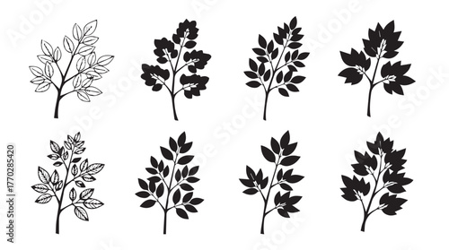 Set of eight stylized dark foliage branches decorative elements in various forms silhouette