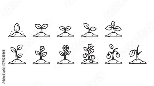Growth stages seedling sprouts plant development icon set decorative elements isolated silhouette