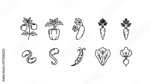 Hand drawn sketch style collection of fresh garden vegetables and herbs for healthy eating and cooking silhouette