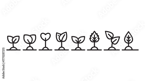 Seedling growth stages simple line art icons representing plant development silhouette