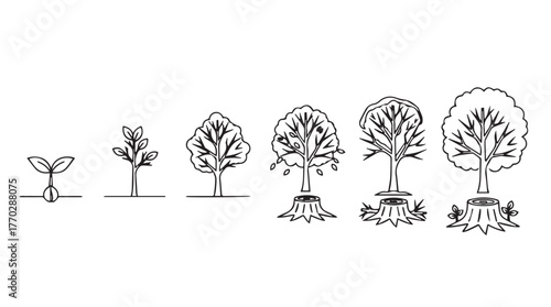 Five stages of tree growth from seedling to mature tree detailed sketch silhouette