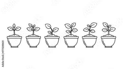 Hand-drawn style seedlings in pots showing growth stages illustration concept silhouette