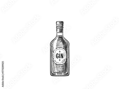 Gin Bottle Vector Illustration – Hand Drawn Alcohol Bottle Drawing