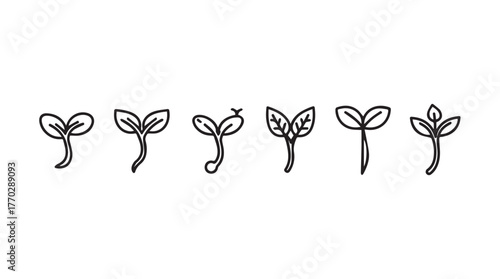 Hand drawn seedling growth stages represented line art progression of young plants silhouette