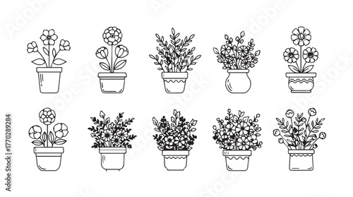 Collection of ten hand-drawn potted houseplants botanical sketch line art decorative element silhouette