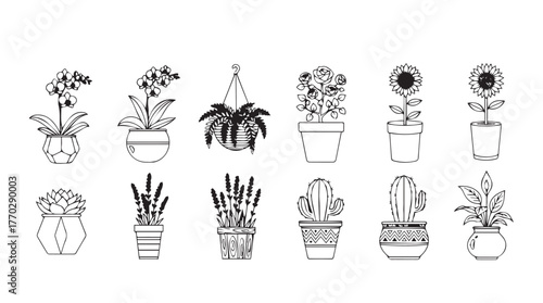 Collection of delicate line art potted plants and flowers for decoration silhouette