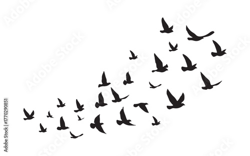 Flock of Flying Birds Silhouette Vector Freedom