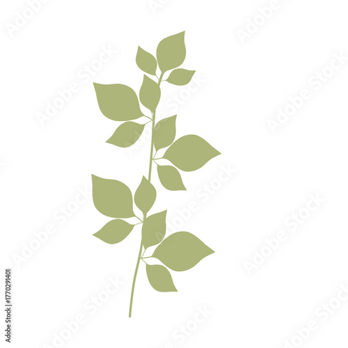 Minimalist Plant with green leaves hand-drawn art