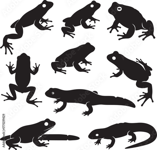 Black frogs and salamanders silhouettes amphibian