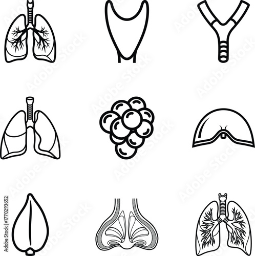 Human organs icons set for medical design