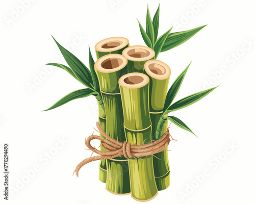 Green Bamboo Stalks and Leaves Tied with Rope - Nature Illustration