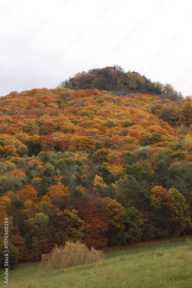 Fototapeta premium view of a colorful hill in autumn