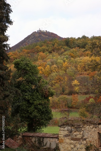 view of a colorful hill in autumn