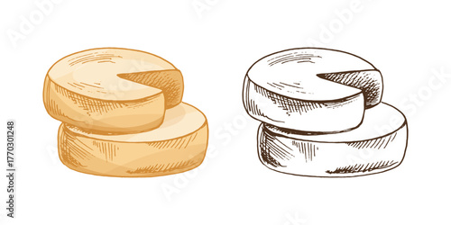 Gouda cheese wheels. Ink sketch isolated on white background. Hand drawn vector illustration. Vintage style stroke drawing.