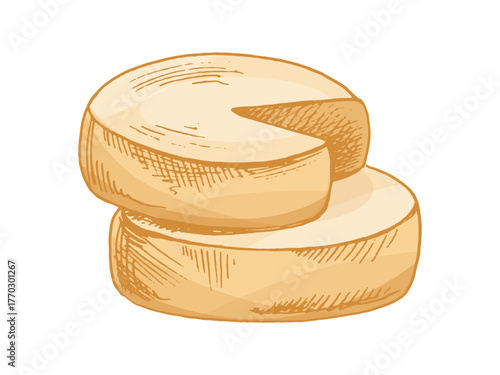 Gouda cheese wheels. Ink sketch isolated on white background. Hand drawn vector illustration. Vintage style stroke drawing.