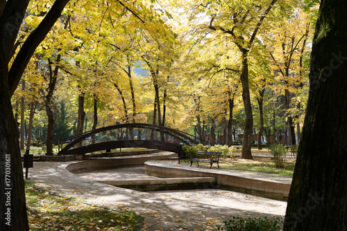 Autumn in the park and a beautiful footbridge 