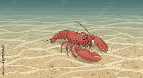 Illustrated Lobster Walking Underwater On Sandy Seafloor Background