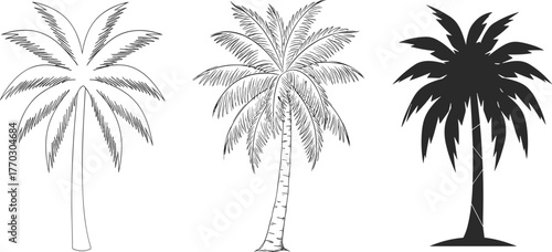 Tropical palm tree collection with outline, sketch and silhouette style, exotic beach summer illustration, paradise island nature art