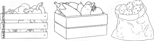 Vector line objects of crates filled with assorted fruits and vegetables, ideal for farm, market, or rustic design projects.	
