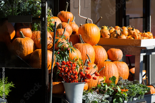 tienda de frutas con calabazas grandes y pequeñas