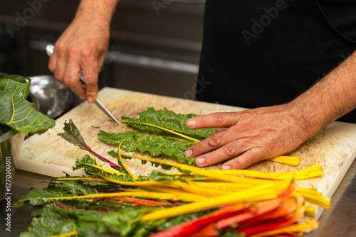 Colorful chard in restaurant kitchen raw