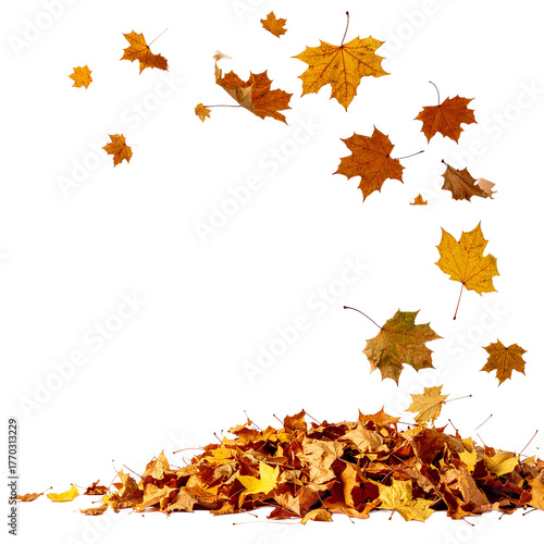 Autumn's Grace: A vibrant cascade of falling leaves, in a scene that captures the spirit of the season.