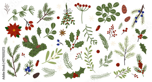 Winter botanical illustrations showcasing various plants, leaves, and holiday elements for seasonal decoration and design