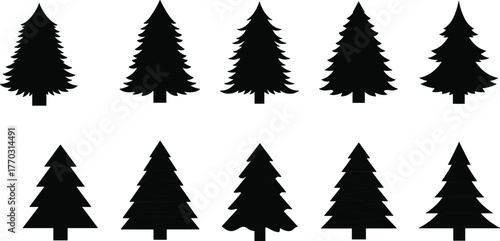 Natural and geometric evergreen tree silhouettes, pine forest design, abstract fir illustration, stylized spruce shapes, decorative woodland art, isolated vector graphic