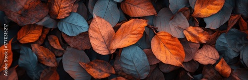 Vibrant Autumn Leaves in Varying Shades of Orange and Blue