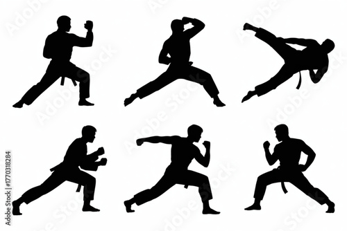 Dynamic martial arts silhouettes showcase powerful karate stances and aggressive fighting moves capturing disciplined motion and athletic prowess