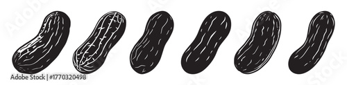 Peanut Icon Set – Silhouette Vector Illustration