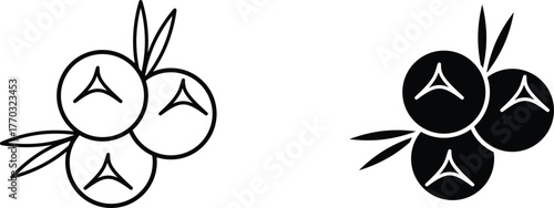 juniper  icon vector graphic illustration  with white background flat hand made icon fill icon .