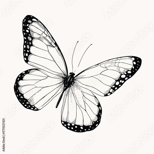 Minimalist Butterfly Stroke Line Art