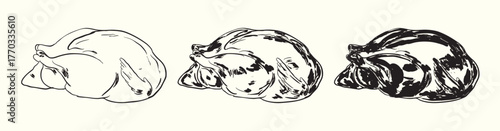 Raw Turkey Vintage Illustration Set