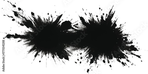 Two abstract black ink splashes splatters and blots isolated on a white background for artistic design elements