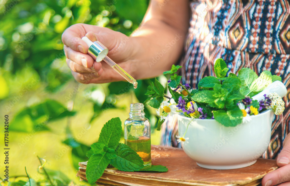 Fototapeta premium Medicinal herbs homeopathy and alternative medicine. Selective focus.