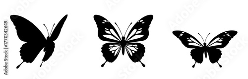 three butterfly silhouettes in varying wing positions and patterns isolated on transparent background. vector stock