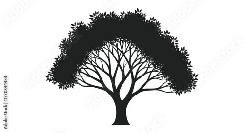 A detailed black silhouette of a mature deciduous tree with a full leafy canopy and intricate branching structure against a white background silhouette