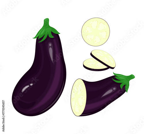 Whole and sliced eggplant aubergine vegetable illustration