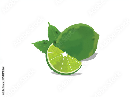 Lemon vector illustration