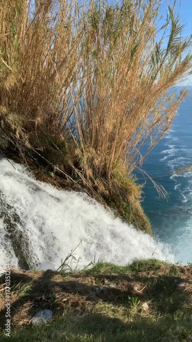 Rushing stream surrounded by lush vegetation on a sunny day