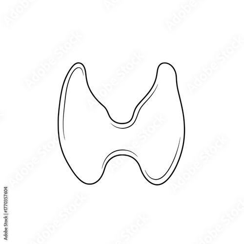 Thyroid gland outline illustration, human internal organ line art icon