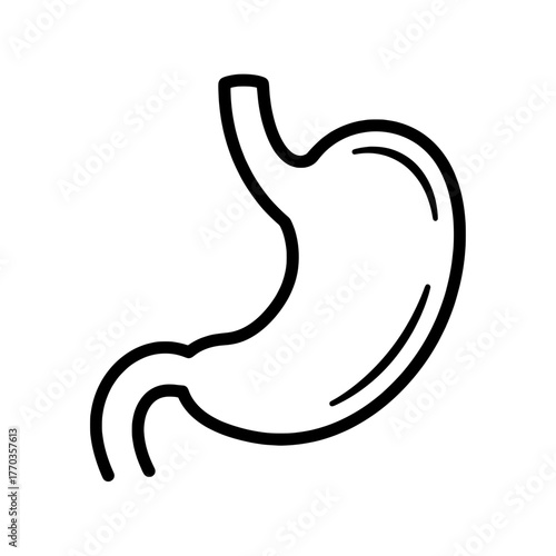 Human Stomach Icon Digestive System Anatomy Illustration for Health & Medicine