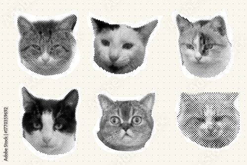 Cat head halftone collage sticker set cutout paper, trendy collection portrait retro y2k pet, funky emoticon animal, pop aesthetic. Meme head with speech bubble. Funny kitty.