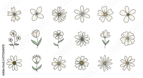 A charming set of simple floral illustrations featuring various types of stylized white and light-colored blossoms, perfect for spring and summer designs.