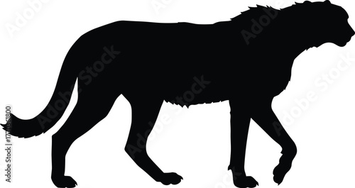Wild animal silhouette walking gracefully, powerful predator illustration, jungle wildlife art, cheetah or big cat concept design for nature background